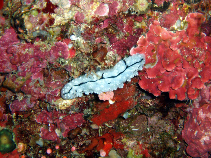 P3140713