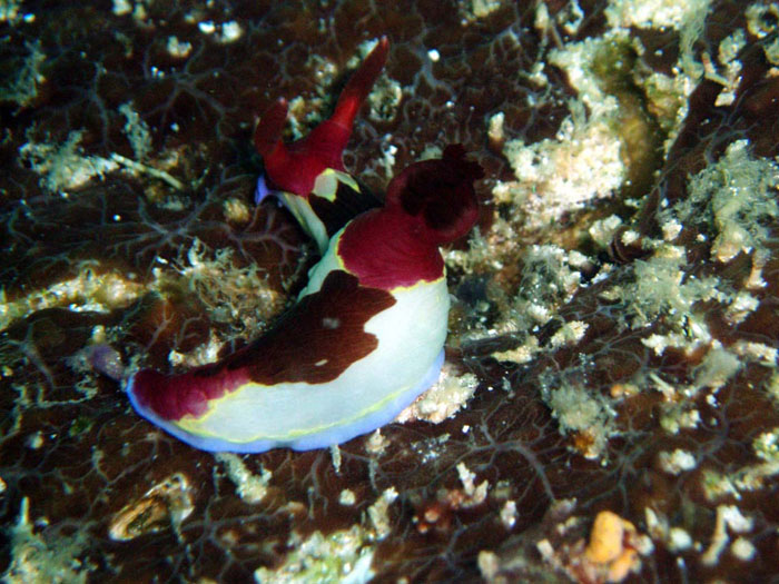 P3150782