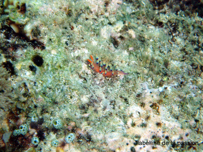 P3150789