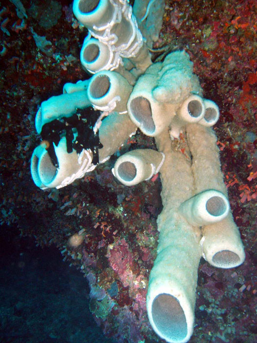 P3170874